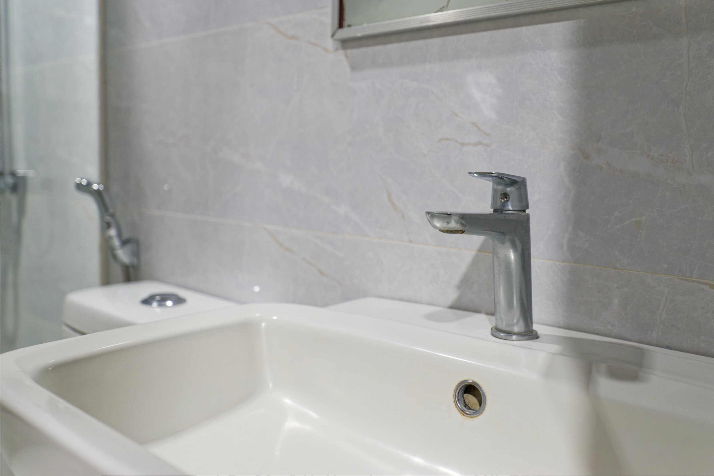 Bathroom detail1